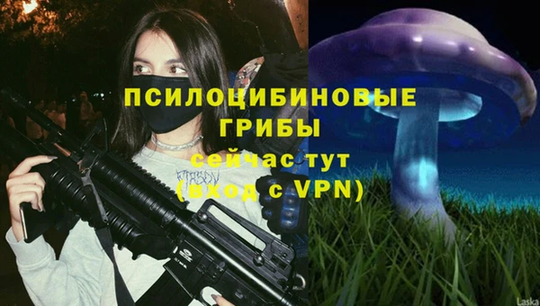 кокс Бородино