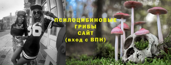 mdpv Бугульма